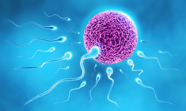 Early sperm