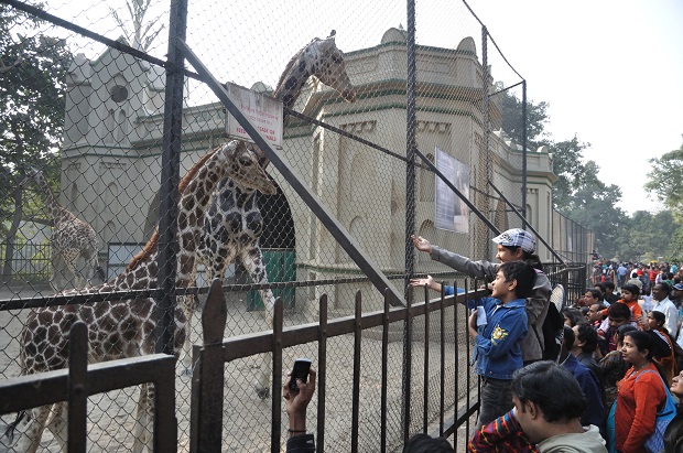Alipore Zoological Garden - Kolkata