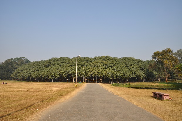 The Great Banyan tree kolkata