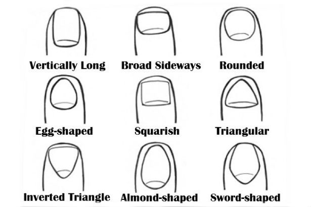 Types of Fingernails
