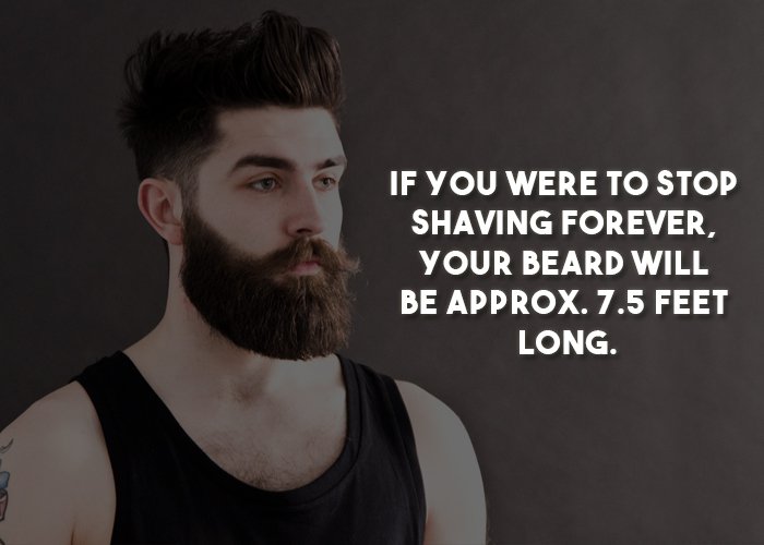 Facts About Beard (14)