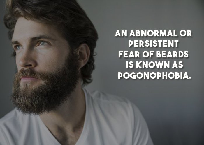 Facts About Beard (7)