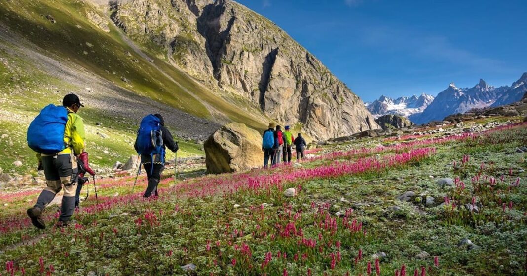 11 Scenic Mountain Walking Paths To Add To Your Bucket List