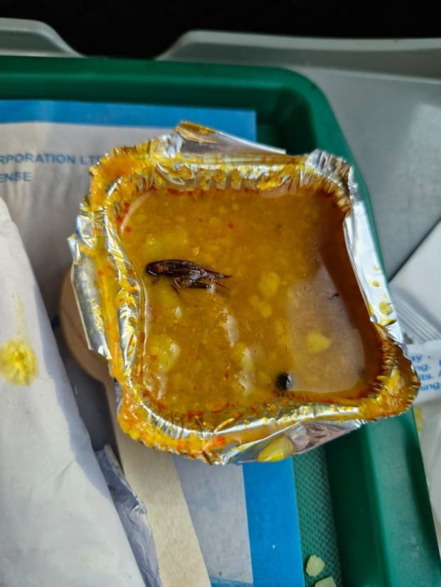 cockroach in-vande-bharat-express food 