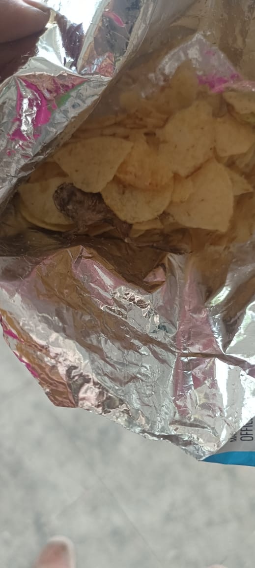dead frog in chips