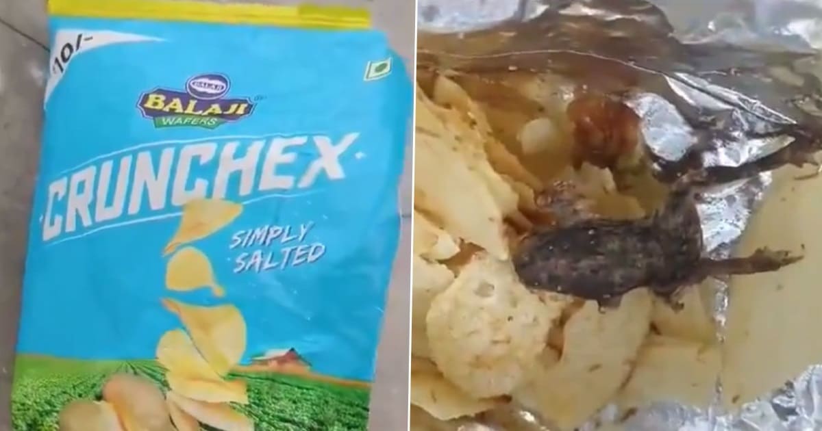 dead frog was found in chips packet