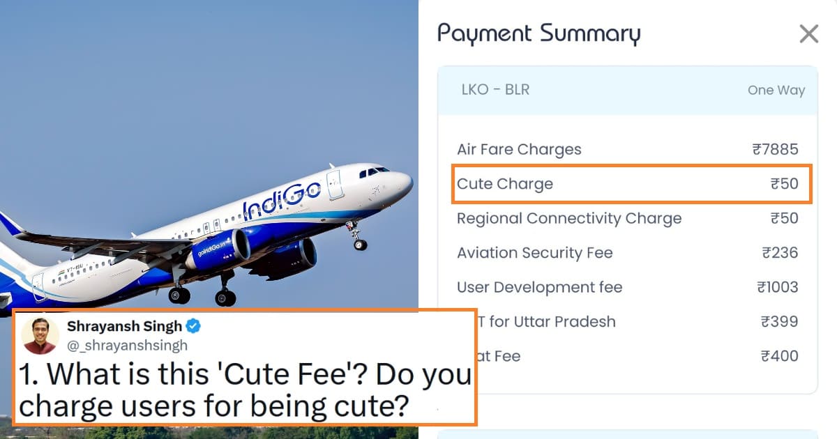 Indigo cute fee